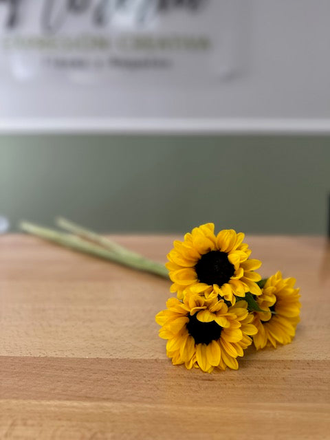 Girasoles - Tallo