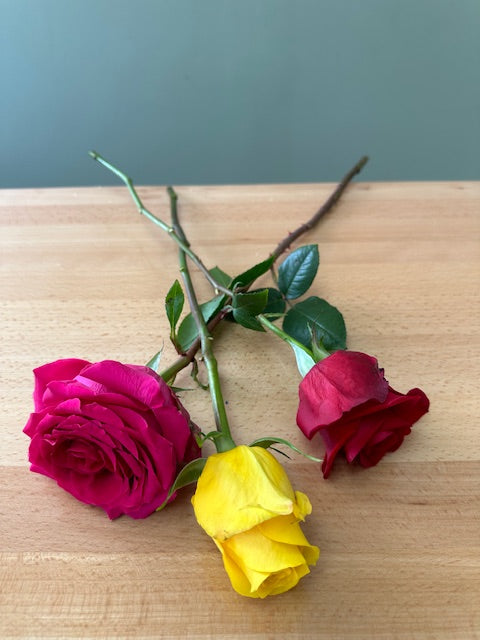 Rosas variedad de colores - Tallo